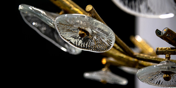 Oltre 400 scatti per esaltare i particolari